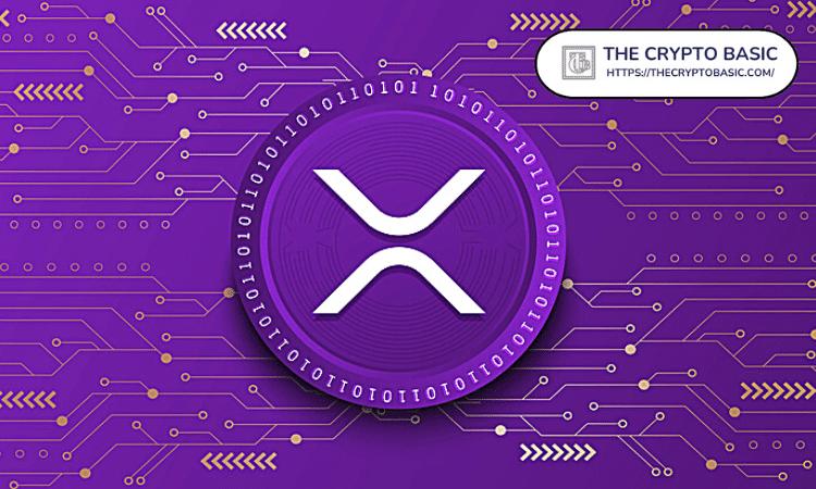 XRP百万富翁钱包数量四个月来首次上升