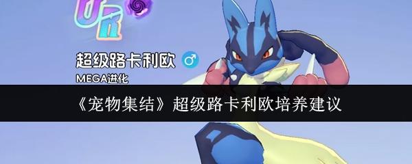 宠物集结 超级路卡利欧培养建议