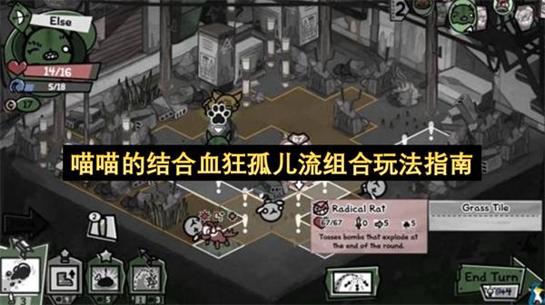 喵喵的结合血狂孤儿流组合玩法指南