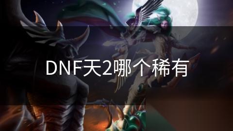 DNF天2哪个稀有