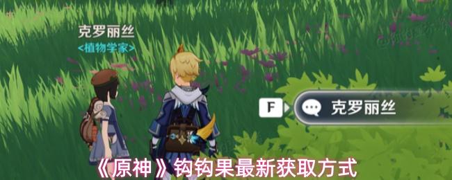 原神 钩钩果最新获取方式