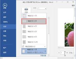 Word如何设置每版打印多页