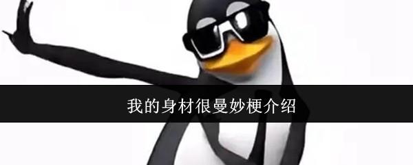 我的身材很曼妙梗介绍