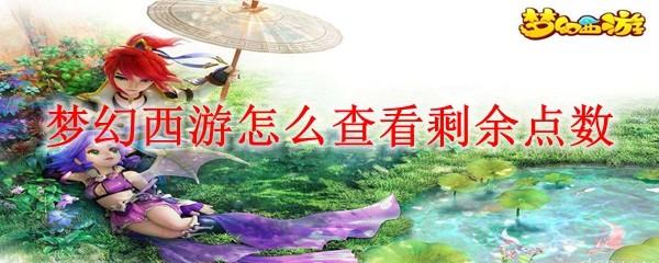 梦幻西游怎么查看剩余点数