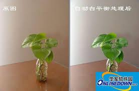 光影魔术手白平衡校正如何使用