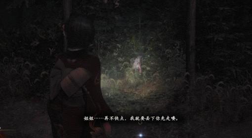 零：红蝶 重制版 天苍澪支线任务攻略