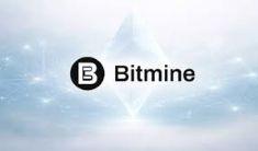 什么是Bitmine MAVAN平台 它是如何产生收入的