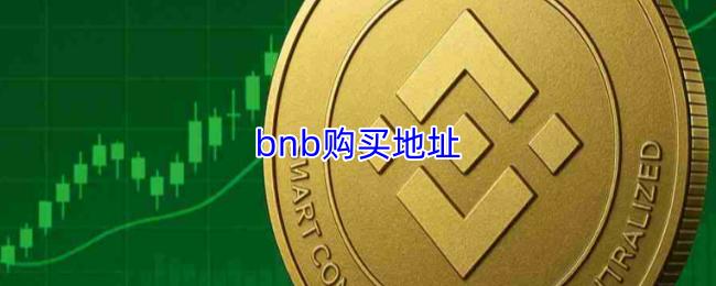 bnb购买地址