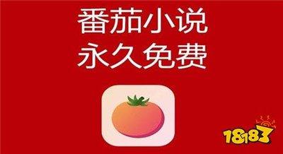 番茄免费小说官网网页版如何在线登录