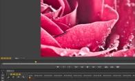 premiere怎么给视频制作垂直定格画面效果
