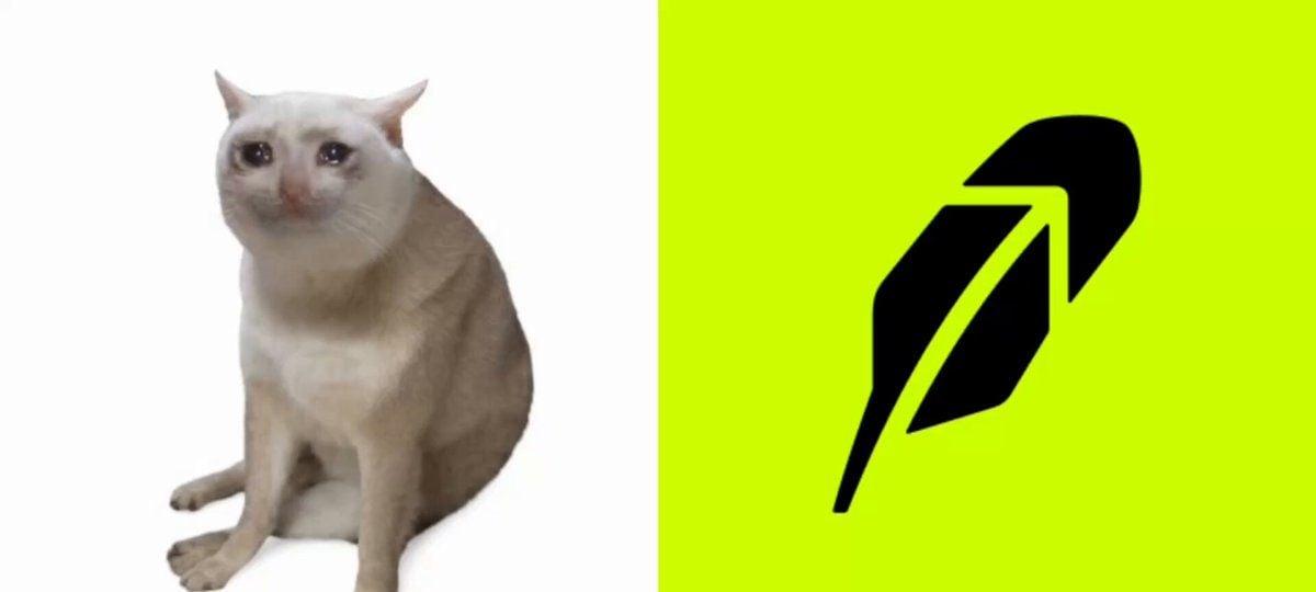 CASHCAT 24小时暴涨1700%！币安官网注册即刻参与Robinhood Chain新链迷因币