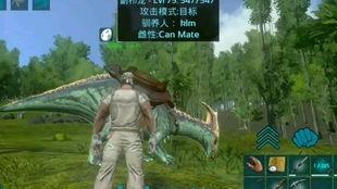 驯龙之旅救赎奥塔怎么玩