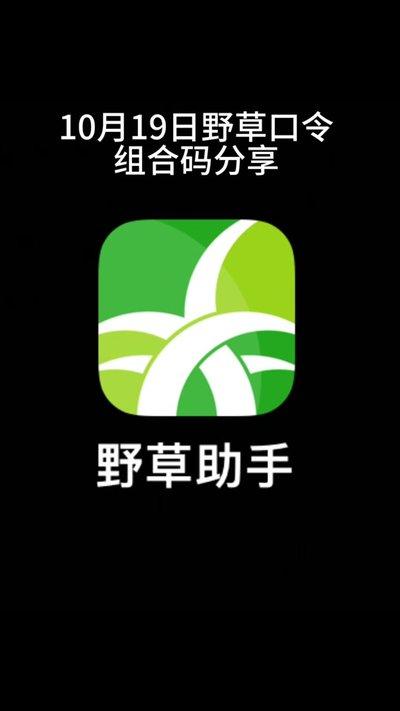 野草助手怎么下载安装